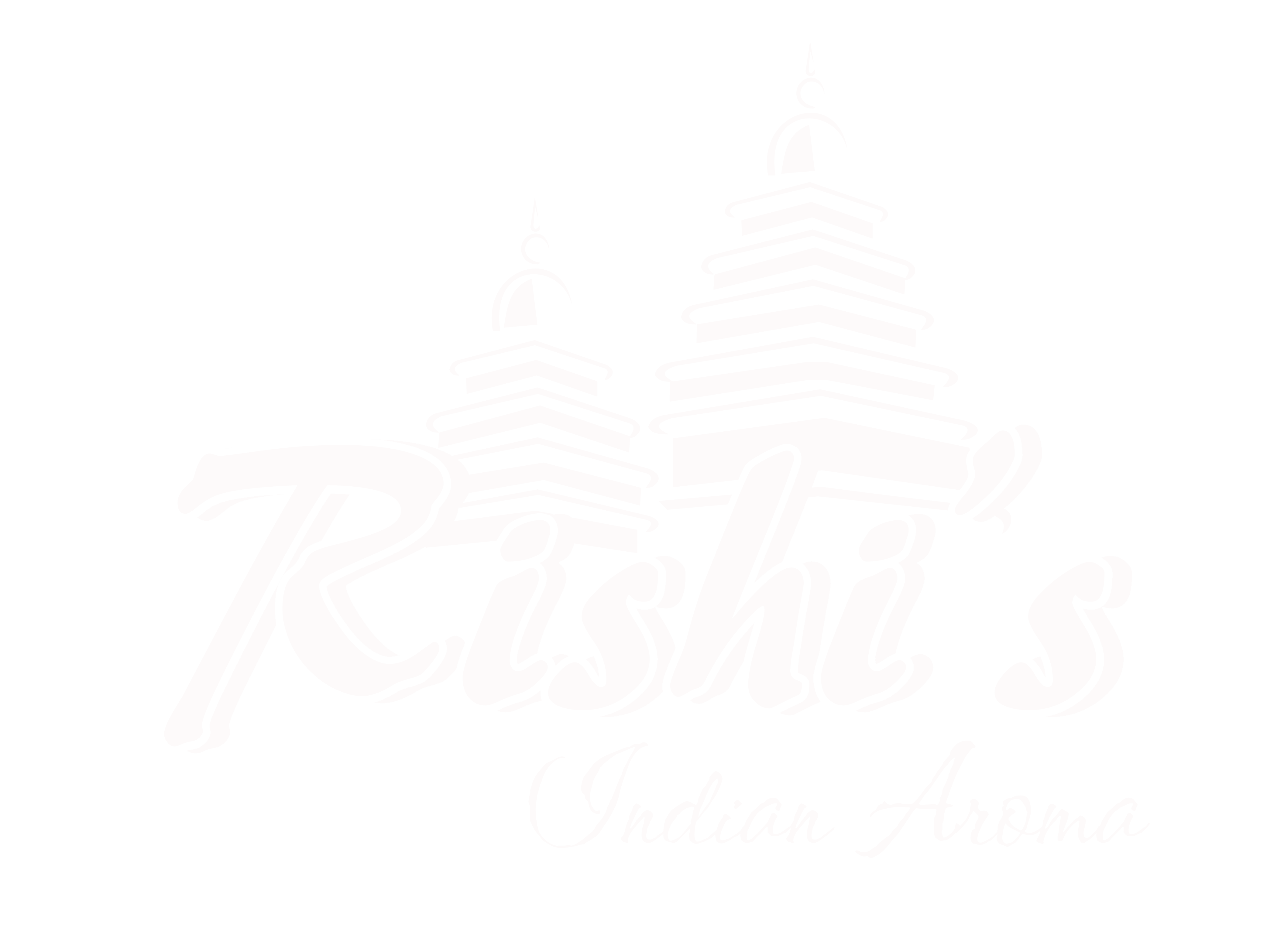 Rishi's Indian Aroma